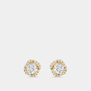 Gilded 1/2 Carat Lab-Grown Diamond Round-Shaped Stud Plus with a Fancy Halo