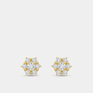 Gilded 3/4 Carat Lab-Grown Diamond Round-Shaped Stud Plus with a Floral Halo