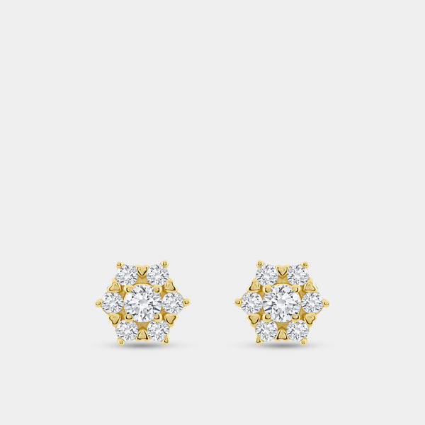 Gilded 3/4 Carat Lab-Grown Diamond Round-Shaped Stud Plus with a Floral Halo
