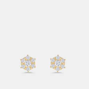 Gilded 1 Carat Lab-Grown Diamond Round-Shaped Stud Plus with a Floral Halo