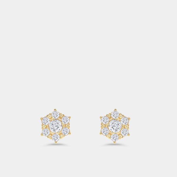 Gilded 1 Carat Lab-Grown Diamond Round-Shaped Stud Plus with a Floral Halo