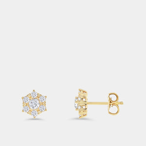 Gilded 1 Carat Lab-Grown Diamond Round-Shaped Stud Plus with a Floral Halo